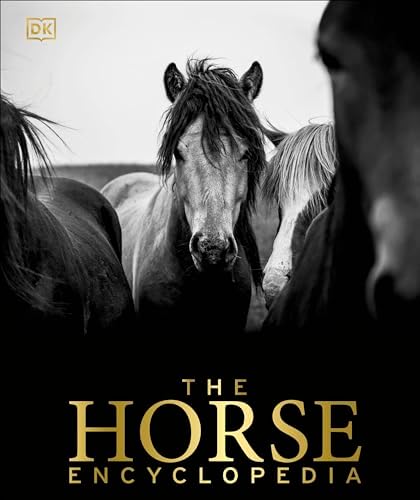 Amazon.com: The Horse: 30,000 Years of the Horse in Art (Hardback