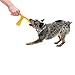 West Paw Zogoflex Air Wox Interactive Tug of War Durable Play Toy, Currant, Large
