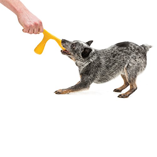 West Paw Zogoflex Air Wox Tug of War Dog Chew Toy Interactive Squishy