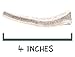 Pet Parents Gnawtlers® - Premium Split Antlers for Dogs, Naturally Shed Split Elk Antlers, All Natural Split Elk Antler Dog Chew, Specially Selected from The Heartland Regions (Small)
