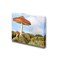 Artifical Toadstool Background Scene Waiting for Fairies and Gnomes for a Art - Canvas Art Wall Art - 12" x 18"