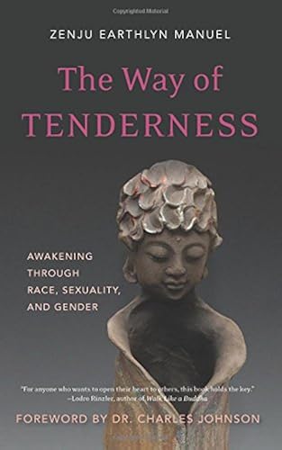Download The Way of Tenderness: Awakening through Race, Sexuality, and Gender PDF