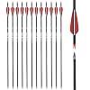 thumbnail image 2 of AMEYXGS Archery Carbon Arrows For Compound & Recurve Bows, 30 Inch Hunting Practice Arrows 12 Pack 5afdd454 Bf44 4d2c 80c9 F76769b27562.fc1bce61ef811fa3029dc4ece260966b 2 of 13