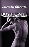 Boystown 3: Two Nick Nowak Novellas (Boystown Mysteries) (Volume 3)