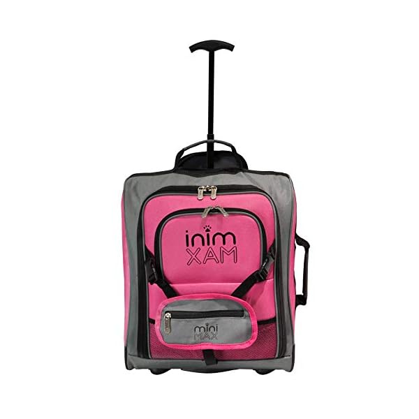 mini max luggage