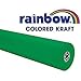 Rainbow Kraft 0063174 Duo Finish Kraft Paper Roll, 48" x 200' Size, Brite Blue