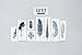 Tattly Temporary Tattoos Watercolor feathers set, 1 Ounce