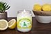 Pet's Favorite Plant Based Candles with a Cotton Wick, Clean Burning Pet Friendly Candles with a 70 Hour Burn Time, Lemon Zest Pack of 1