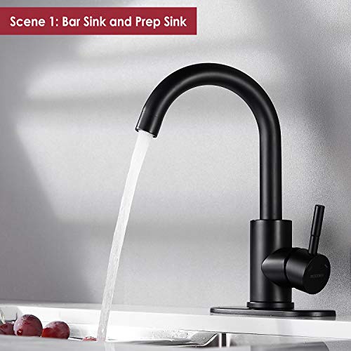 RODDEX Wet Bar Sink Faucet Stainless Steel One Hole 360 Swivel Bar