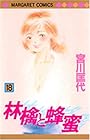 林檎と蜂蜜 第18巻