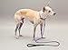 MigooPet Heavy Duty Retractable Dog Leash 16 Foot Strong and Durable Walking Leash for S To L Dogs Up To 45/115 lbs, Upgraded Lock System, Non Slip Grip, Anti Tangle
