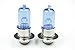 NICHE Xenon Headlight Light Bulb for Yamaha Grizzly 660 2002-2008