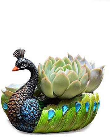 Worila Peacock Resin Succulent Pot/Vintage Cactus Plant Pot/Garden Decorative Flower Pot Succulent Planter (Green)
