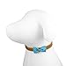 Martha Stewart Bow Tie Pet Collar Accessory Set, One Size
