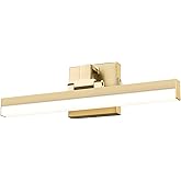 Z-Lite 1009-18W-MGLD-LED Liam Vanity, 1-Light 20 Watts, Modern Gold