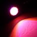 2x Custom Black Anodized Aluminum Xenon 4.5W SMD LED Eagle Eye Lamps Back Up Backup Reverse Parking Light For Car Van SUV Coupe Sedan (Red)