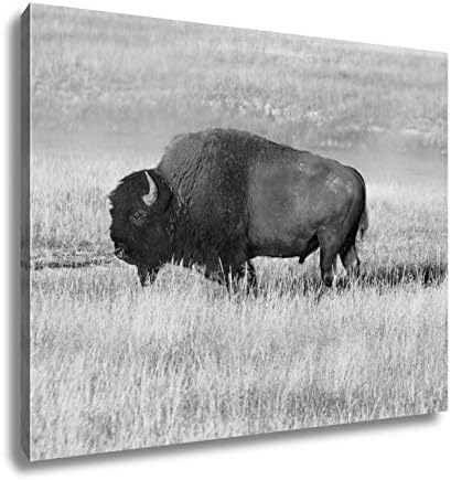 Amazon Com Ashley Canvas American Bison Buffalo Wall Art Home