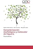 Image de Caracterización morfológica y molecular de higuera: Ficus carica L. (Spanish Edition)