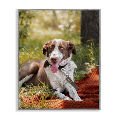 Stupell Industries Pet Personalized Custom Print Rectangular Gray Giclee Framed…