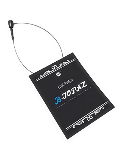 B-TOPAZ B-TOPAZ Oil Lighter, Zippo Style Lighter, Zippo Style, Brass, Men, Women, Gift, Wrapping (Camel Silver)
