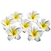 Healthcom 100 Pcs 2.4 Inch White Artificial Plumeria Rubra Hawaiian Flower Petals Hair Hat Wreath Floral Premium Hawaiian Foam Frangipani Flowers for DIY Home Beach Wedding Party Decoration