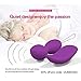 G-spot Bullet Vibrators Adult Sex Toys Remote Control Vibrating Silicone Vibe Egg Vaginal Massager for Women Sexual Wellness - Dual 10 Speed Waterproof USB Rechargeable Discreet Packaging (Purple)