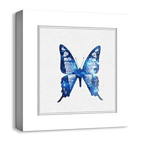 Canvas Wall Art Colorful Butterflies Photo Frame Style Painting Artwork for Home Prints Framed - 12x12 inches