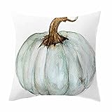 GBSELL Pillow Cover Blue Gray Orange Pumpkin Pillow Case Sofa Throw Cushion Cover Home Fall Decor,45cm45cm (F)