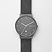Skagen Men's SKW6320 Ancher Titanium Analog Quartz, Grey