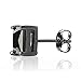 Queen Jewelers Sterling Silver Black Cubic Zirconia 4mm Princess-Cut Stud Earrings