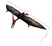 Ericoo Pterosaur Large Dinosaur Toys Figure Jurassic Dinosaurs World Park Dino-003