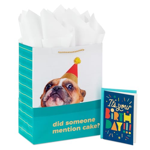 Hallmark 13" Large Birthday Gift Bag with Card and Tissue (Dog with Cake)