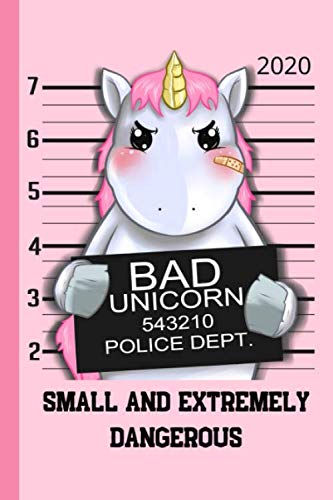 2020 SMALL AND EXTREMELY DANGEROUS: Daily Weekly & Monthly Calendar Planner. 1.1 - 31.12. 2020 . Funny Novelty Planner with Small and Dangerous ... gift for Family, Friends & Co Workers etc.