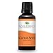 Plant Therapy Carrot Seed Essential Oil 100% Pure, Undiluted, Natural Aromatherapy, Therapeutic Grade 30 mL (1 oz)