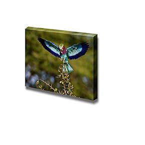 The Bright Bird Sits Down on a Branch Holding in a Beak of a Cricket - Canvas Art Wall Art - 12" x 18"