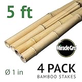 Bond SMG12068 Miracle-Gro Super Pole, 5ft x 1in Bamboo Stakes, 4 Pack, Natural