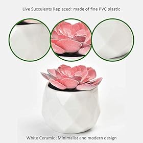 Artificial Succulent Plants Decor,4 Pieces of Various Fake Succulents in Mini White Ceramic Pots for Desk, Office… 41Fjo060UHL