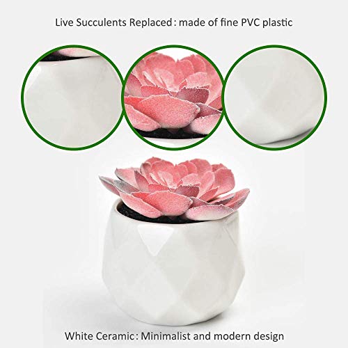 41Fjo060UHL 41Fjo060UHL