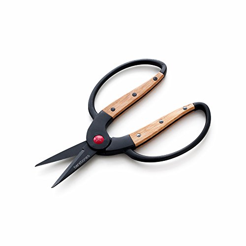 The 4 Best Tools to Cut Bamboo Reviews 2018