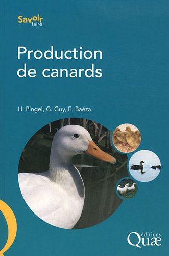 Production de canards