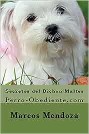 Secretos del Bichon Maltes: Perro-Obediente.com