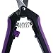 Apollo Horticulture Precision Curved Blade Pruner Shears for Gardening
