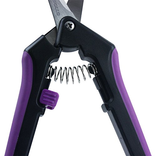 Apollo Horticulture Precision Curved Blade Pruner Shears for Gardening