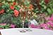 Hortense B. Hewitt Wedding and Anniversary Elegant Mr. and Mrs. Champagne Toasting Flutes, Set of 2