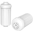 Replacement Water Filter for Berkey PF-2, Fluoride and Arsenic Reduction Element, Compatible with Berkey Big, Royal, Imperial, Crown Series and