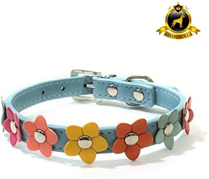 Stepevoli Dog Collar with Petite Flowers - Comes in Cyan Colour and C2 Size