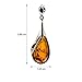 Ian and Valeri Co. Amber Sterling Silver Classic Teardrop Earrings