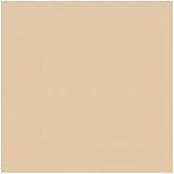 Amazon Com Rosco Roscolux Medium Bastard Amber x24 Color Effects Lighting Filter Photographic Lighting Filters Camera Photo