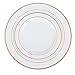 Exquisite Reflective Plastic Plates-60 Peices Premium Heavyweight Plastic Dinnerware (30-10.25