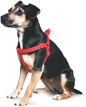 ancol puppy harness
